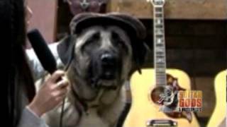 Dr.Jim  with Dog.Jim,James Cargill  and Jasmine - Guitar Gods and Masterpieces