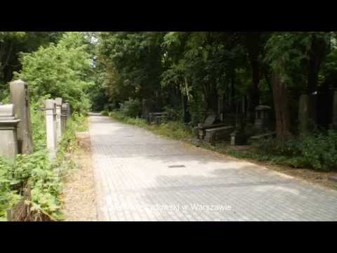 Cmentarz Żydowski w Warszawie