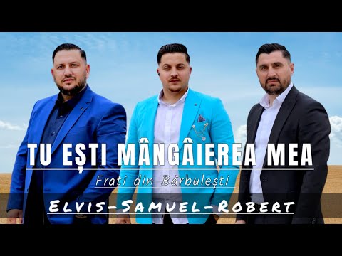 Frati din Bărbulești - TU EȘTI MÂNGÂIEREA MEA (Elvis Samuel și Robert)