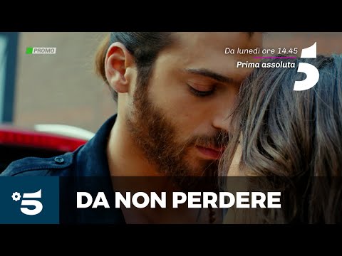 Daydreamer - Le ali del sogno - Da lunedì 17 agosto alle14.45 su Canale 5