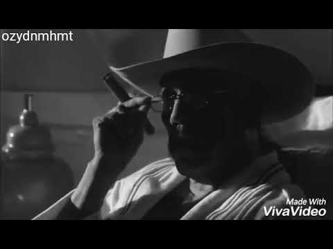 Breaking bad tortuga. Turtle