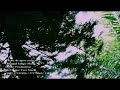 Cherie de mon cœur(1)