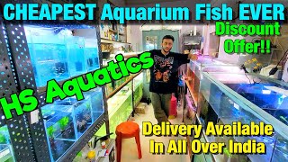 CHEAPEST Aquarium Fish EVER at HS Aquatics I Discount Offer