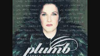 09 Champion   Plumb