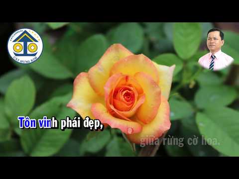 Karaoke: MỪNG NGÀY 8 THÁNG 3 - Tác giả: Nguyễn Hữu Nghĩa