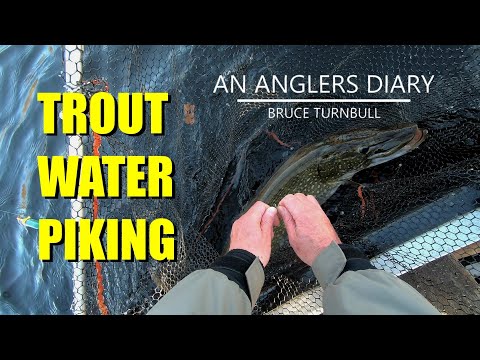 An Anglers Diary with A Moment in Time Channel - Chapter 92 - Trout Water Pike Fishing