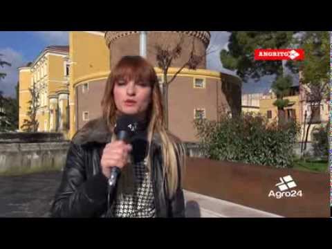 ANGRITG - Edizione di Marzo 2014