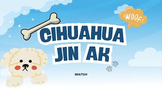 Download lagu DAY 6 CIHUAHUA JIN AK #ceritaroleplayku mp3 Download lagu DAY 6 CIHUAHUA JIN AK #ceritaroleplayku mp3