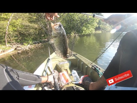 Bass Fishing Online Tournament Day 1 ( TourneyX )