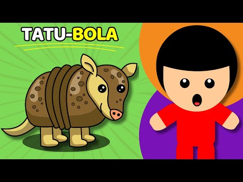 TATU-BOLA - Animadinhos (Música Infantil)