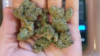 Pink Cookies 28% Trulieve Eustis