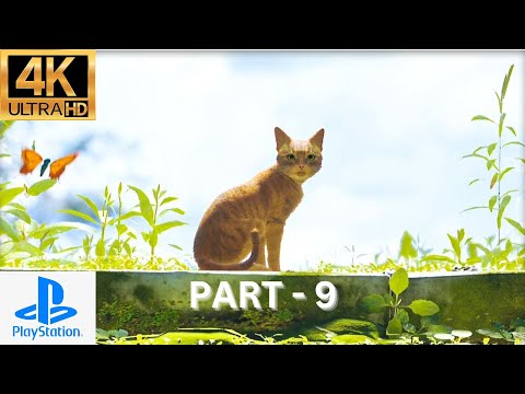 Stray PS5 Gameplay - Ending - Walkthrough Part 9