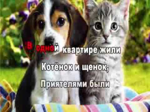 Котенок и щенок караоке