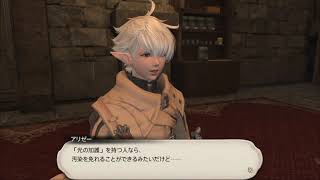 【FF14】パッチ6.0記録１(Lv80～81)