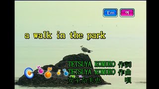 安室奈美恵 (아무로 나미에) - a walk in the park (KY 41411) 노래방 カラオケ