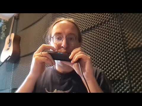 Some tunes on my Lekholm DM48X midi harmonica