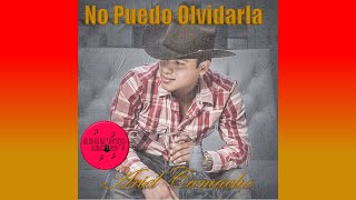 No Puedo Olvidarla
