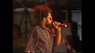 UB40, Rat In Mi Kitchen