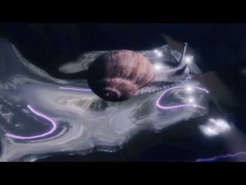 Karolina Czarnecka – Niepolka (official art video)