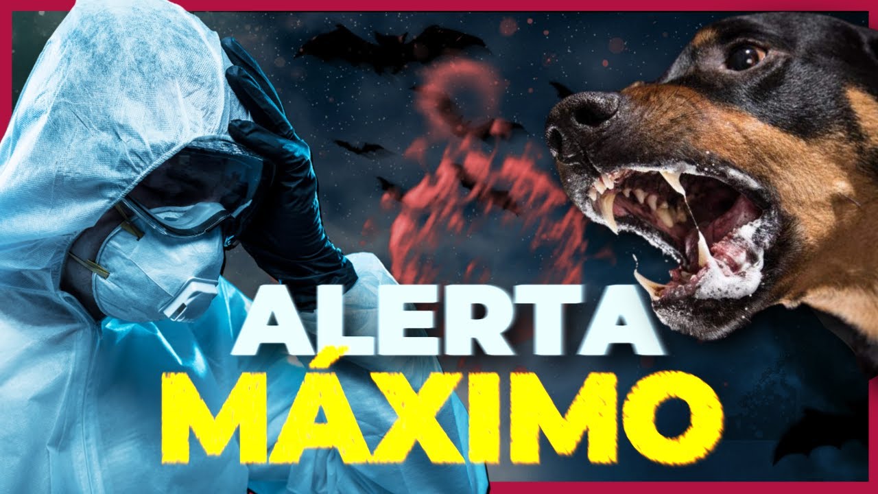 A VOLTA PREOCUPANTE DO VÍRUS MAIS LETAL DO MUNDO | Vírus da Raiva
