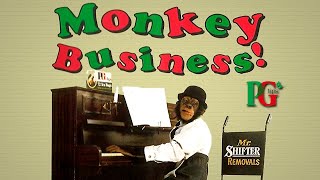 Monkey Business (1993) - PG Tips Chimp Adverts VHS Tape