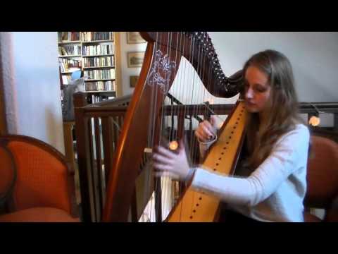 Taylor Swift - Wildest Dreams (Harp Cover)