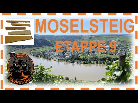Entdecke den Moselsteig Etappe 09 - Neumagen-Drohn nach Kesten