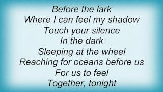 Roy Harper - Sleeping At The Wheel Lyrics