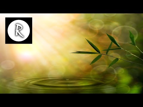 8 HOURS Beta Waves: ULTIMATE MEMORY | Deep Sleep Meditation, Powerful Brainwave Binaural