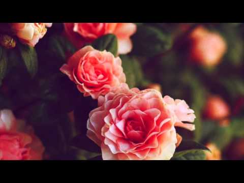 Chemical Energy vs. Mapps - Maroon 5 (Will Sparks Remix) / SnapBack - Will Sparks (SAMPLE)