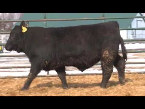 Lot 139 - EGL Cadillac C349