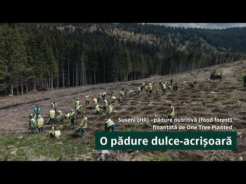 Suseni - Food forest with One Tree Planted