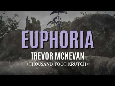 Euphoria - Judge & Jury ft. Trevor McNevan (@TeerawkOfficial) of @tfkofficial (Lyric Video)