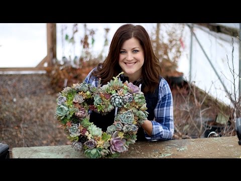 download lagu mp3 mp4 Succulent Wreath Diy, download lagu Succulent Wreath Diy gratis, unduh video klip Succulent Wreath Diy