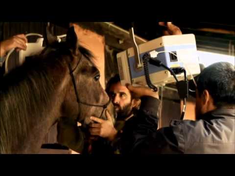 El Domador De Caballos · Pistolas