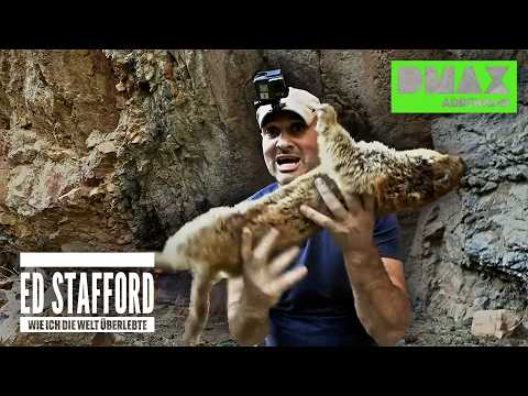 Schnecken & Schlangen: Ed isst ALLES 🤢 | COMPILATION | Ed Stafford: Wie ich die Welt überlebte