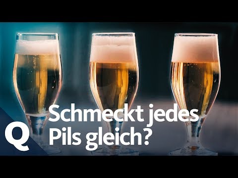 Beer experiment: Does every pilsner taste the same? | Quarks