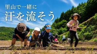 動画のサムネイル