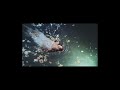 NewJeans - Get Up (Extended Version)