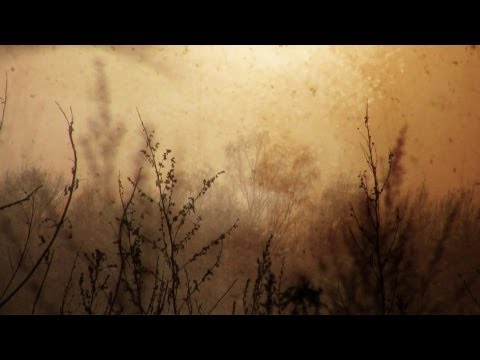 Dark Sanctuary - Je M'en Irai - Cover