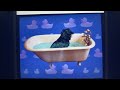 Elmo S World Bath Time DVD Rip