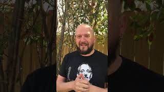 Danny's Review of Quantum Healing Hypnosis Technique with Lori Lines at Higher Self Access