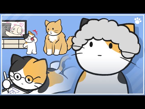 How Old Is Your Cat In Human Ages  | BEMYPET's Tips