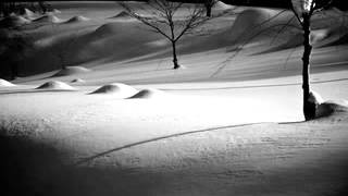 Aoneko No Torso - Ryuichi Sakamoto - Sheet Music