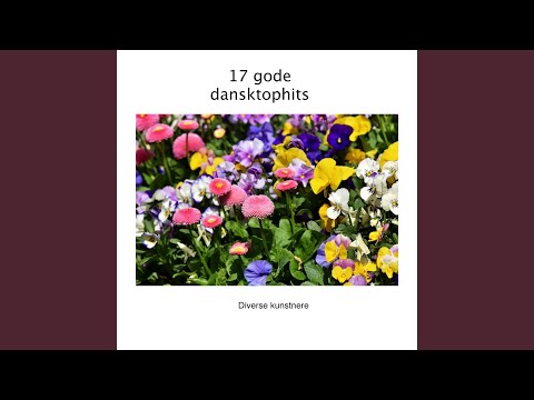 Min første kærlighed