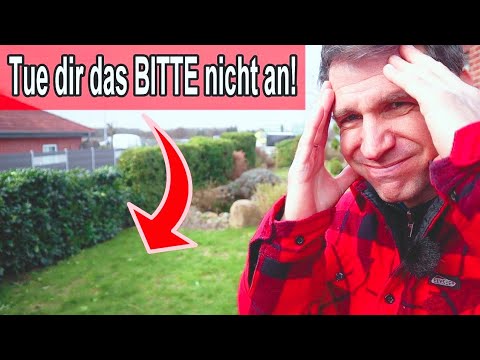 3 häufige Rasenpflege Fehler im Frühling, die du unbedingt vermeiden solltest!