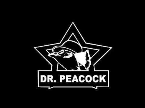 Le Bask & Dr. Peacock @ Insane Festival 18-04-2015 France