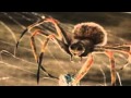 Charlottes Web Trailer