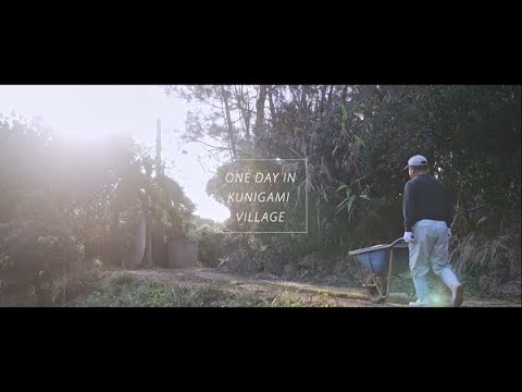 ONE DAY IN KUNIGAMI VILLAGE