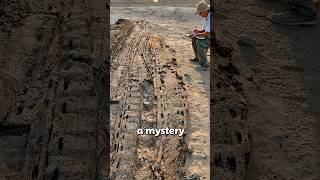 Buried Boats Older Than Pyramids!